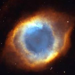 Meet your Posher, Marcus